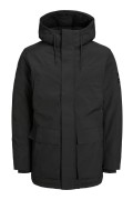 JAC&JONES 12235868 ICI DOLGULU KALIN  PARKE MONT