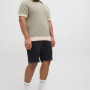 JACK&JONES 11232570 BUYUK BEDEN ERKEK CHINO SORT