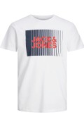 JACK & JONES 12233999 0 YAKA ONU CIZGI USTU JACK JONES YAZILI KISA KOL %100 COTON TSHIRT JACK & JONES 12233999 0 YAKA ONU CIZGI USTU JACK JONES YAZILI KISA KOL %100 COTON TSHIRT