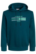 JACK&JONES 12256820 JJSOUTH KAPUSONLU 3 IPLIK SWEAT JACK&JONES 12256820 JJSOUTH KAPUSONLU 3 IPLIK SWEAT