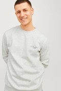 JACK&JONES 12256837 SOL GOGUS YAZILI YUVARLAK YADA UZUN KOL SWEAT JACK&JONES 12256837 SOL GOGUS YAZILI YUVARLAK YADA UZUN KOL SWEAT