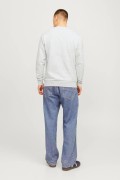 JACK&JONES 12256837 SOL GOGUS YAZILI YUVARLAK YADA UZUN KOL SWEAT JACK&JONES 12256837 SOL GOGUS YAZILI YUVARLAK YADA UZUN KOL SWEAT