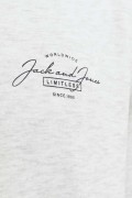 JACK&JONES 12256837 SOL GOGUS YAZILI YUVARLAK YADA UZUN KOL SWEAT JACK&JONES 12256837 SOL GOGUS YAZILI YUVARLAK YADA UZUN KOL SWEAT