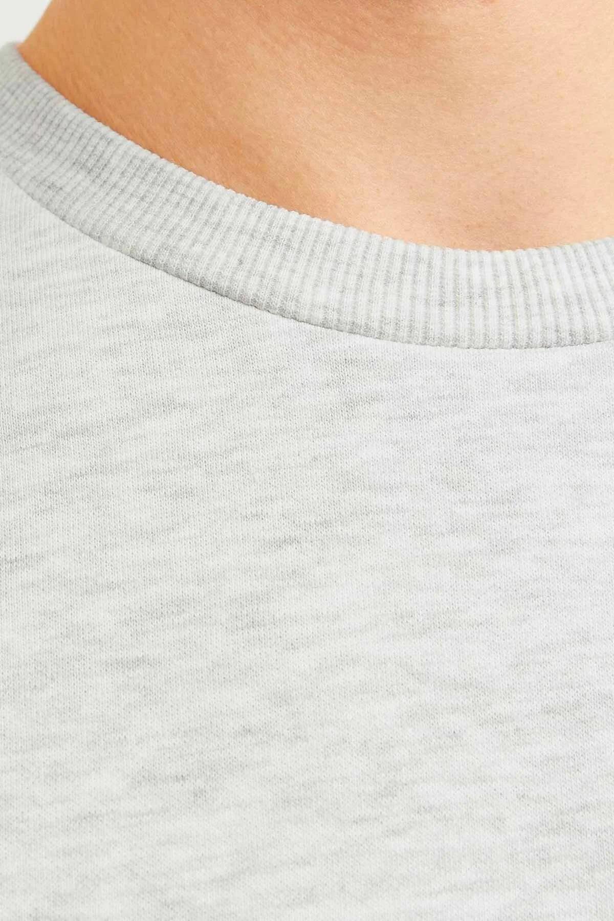 JACK&JONES 12256837 SOL GOGUS YAZILI YUVARLAK YADA UZUN KOL SWEAT JACK&JONES 12256837 SOL GOGUS YAZILI YUVARLAK YADA UZUN KOL SWEAT