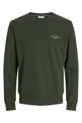 JACK&JONES 12256837 SOL GOGUS YAZILI YUVARLAK YADA UZUN KOL SWEAT JACK&JONES 12256837 SOL GOGUS YAZILI YUVARLAK YADA UZUN KOL SWEAT