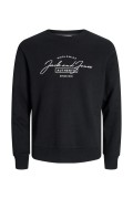 JACK&JONES 12256837 SOL GOGUS YAZILI YUVARLAK YADA UZUN KOL SWEAT JACK&JONES 12256837 SOL GOGUS YAZILI YUVARLAK YADA UZUN KOL SWEAT