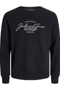 JACK&JONES 12256837 SOL GOGUS YAZILI YUVARLAK YADA UZUN KOL SWEAT JACK&JONES 12256837 SOL GOGUS YAZILI YUVARLAK YADA UZUN KOL SWEAT