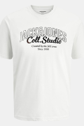 JACK&JONES 12278493 JJMAKOTA TEE KISA KOL ERKEK TSHIRT JACK&JONES 12278493 JJMAKOTA TEE KISA KOL ERKEK TSHIRT