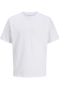 JACK&JONES 12290315 JORCATSKILLS MINIMAL  TEE 0 YAKA KISA KOL TSH